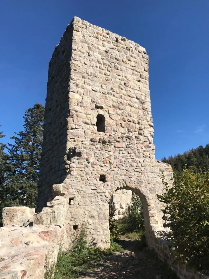Landgasthof Alpenblick An Der Wutachschlucht Suedschwarzwald Loffingen Bagian luar foto